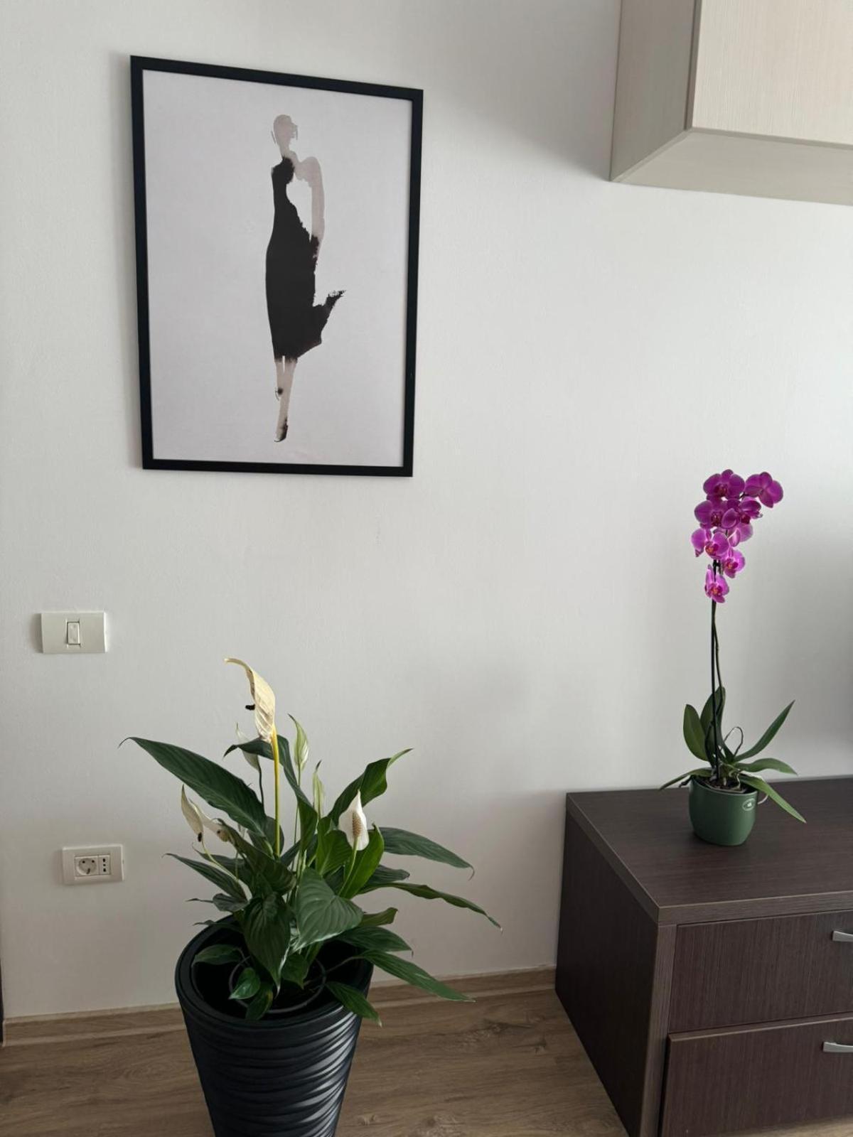Apart Mihai Viteazu Residence Braşov Buitenkant foto
